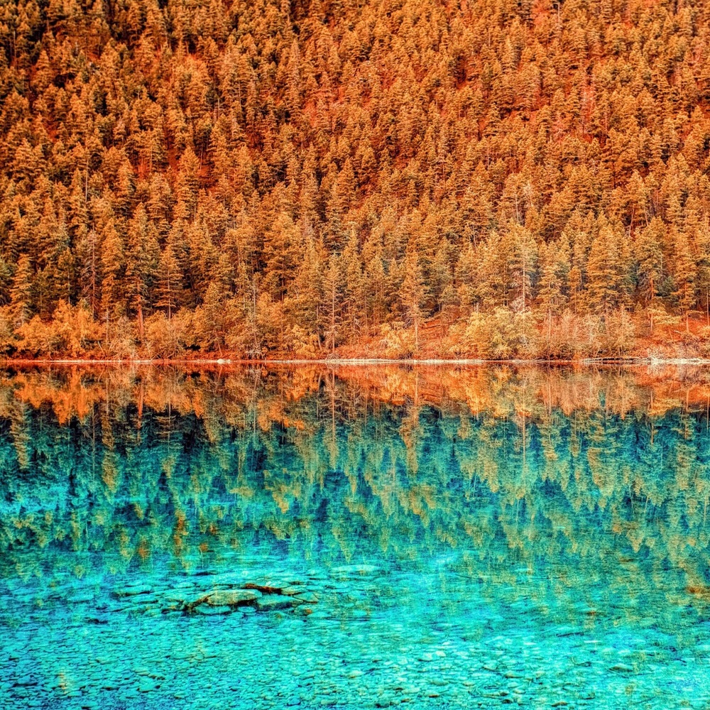 Meet your Posher, Caleb tyler